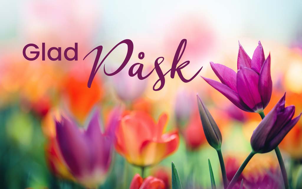 Glad påsk blommor som symboliserar en hälsning från Höjdens Spol